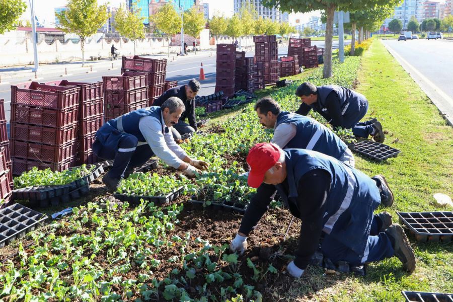 Bir yılda 3 milyon 384 bin mevsimlik çiçek
