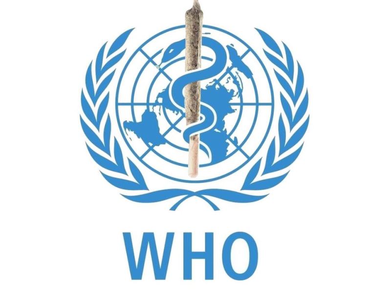 WHO: Koronavirüse karşı 20 aşı geliştirdik