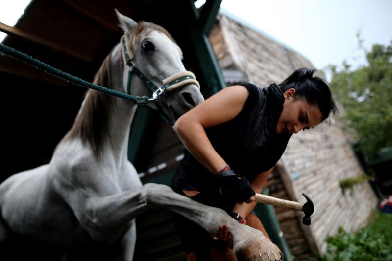 Türkiye’nin tek kadın nalbandı ojeli elleriyle atlara nal çakıyor