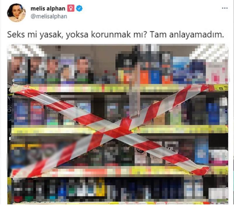 Gazeteci Melis Alphan