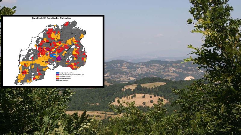 Cengiz Holding avukatları, Halilağa